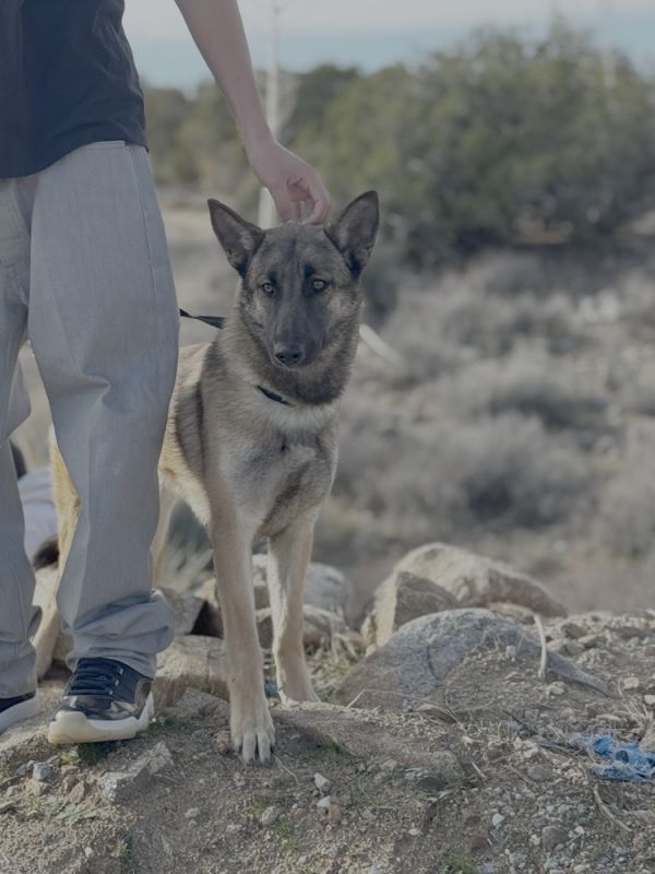 Sandra  Located In thumbnail 3