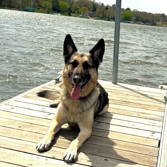 Quigley Courtesy Listing