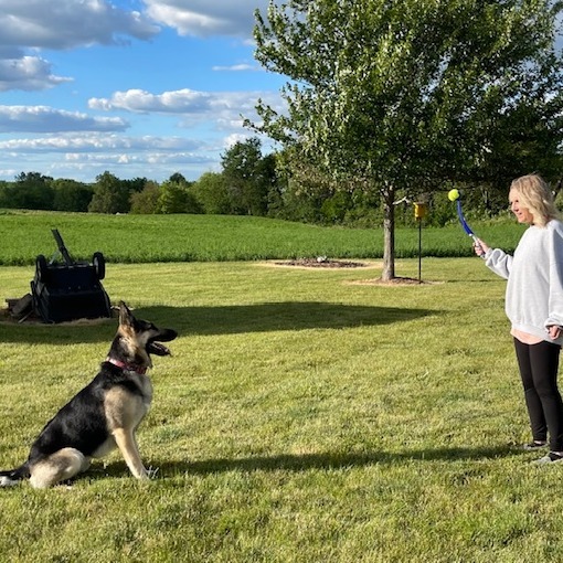 Quigley Courtesy Listing thumbnail 2