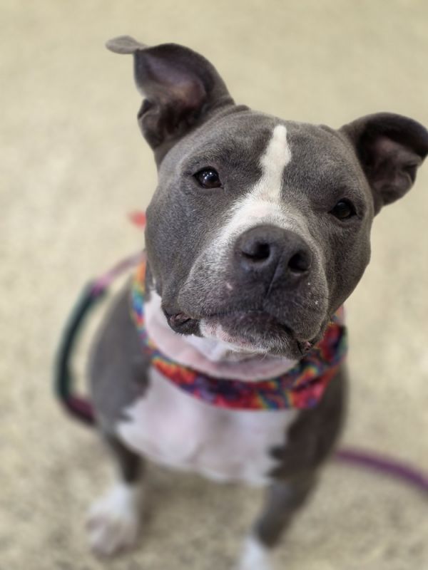 Ellie Electric thumbnail 3