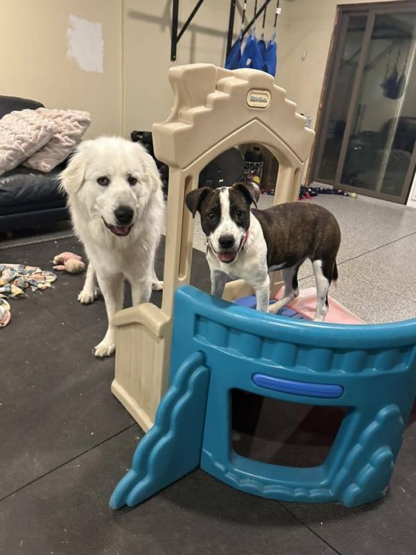 Rosemary Clooney thumbnail 3