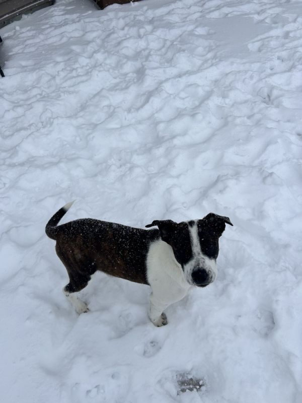 Rosemary Clooney thumbnail 6