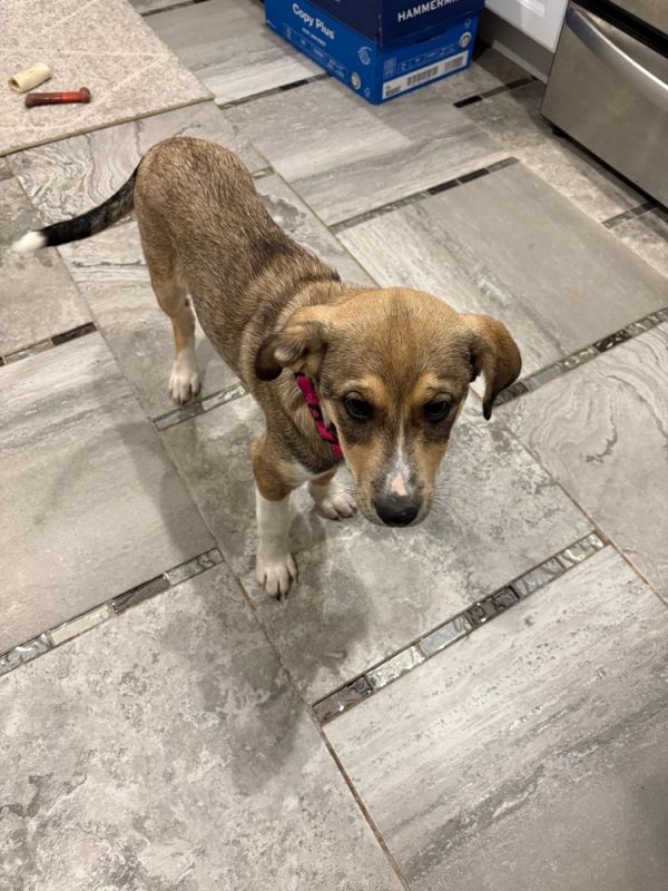 Lt Anita Vanburen thumbnail 4