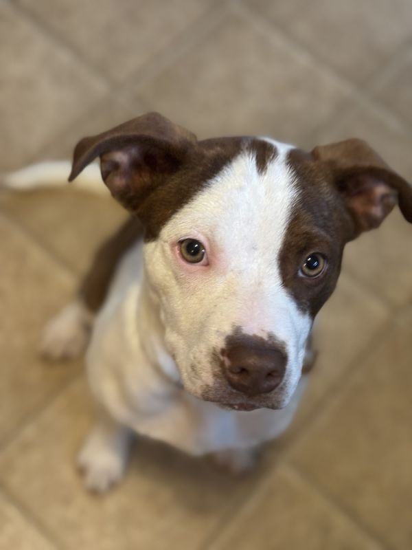 Charlie Puth thumbnail 2