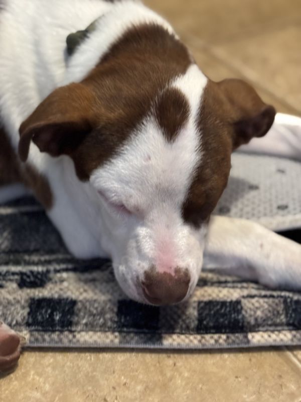 Charlie Puth thumbnail 3