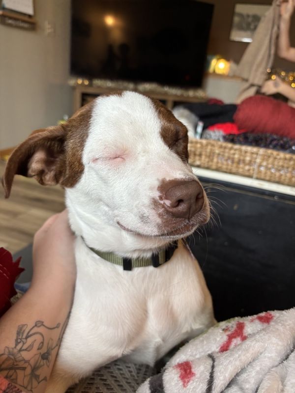 Charlie Puth thumbnail 4