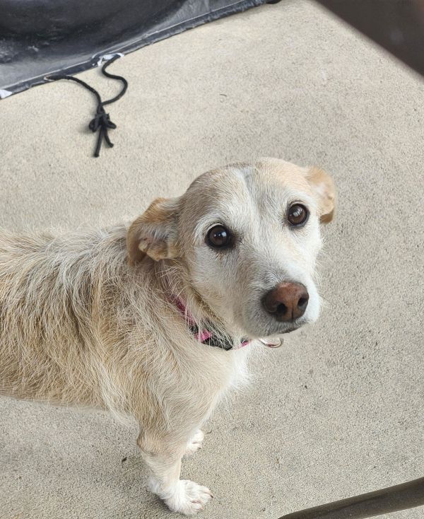 Kira Arriving thumbnail 2