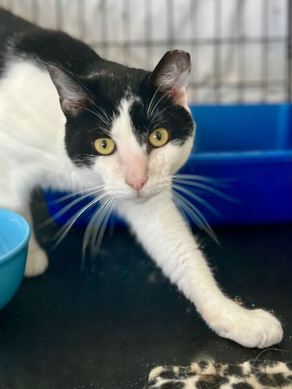 Otiswillow Grove thumbnail 2