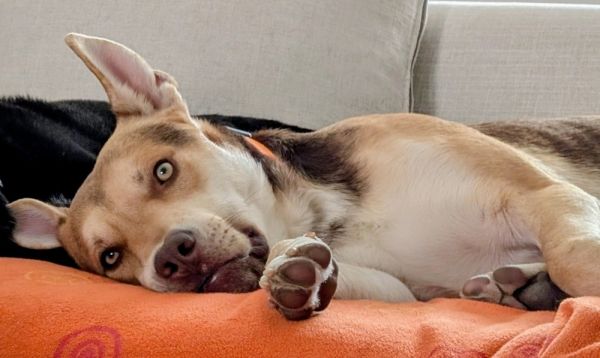 Billington thumbnail 2