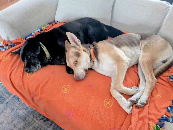 Billington thumbnail 3