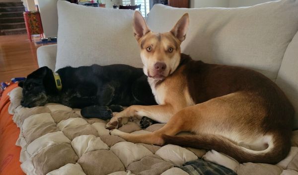 Billington thumbnail 4