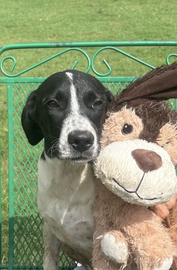 Jemma  Stray J thumbnail 5