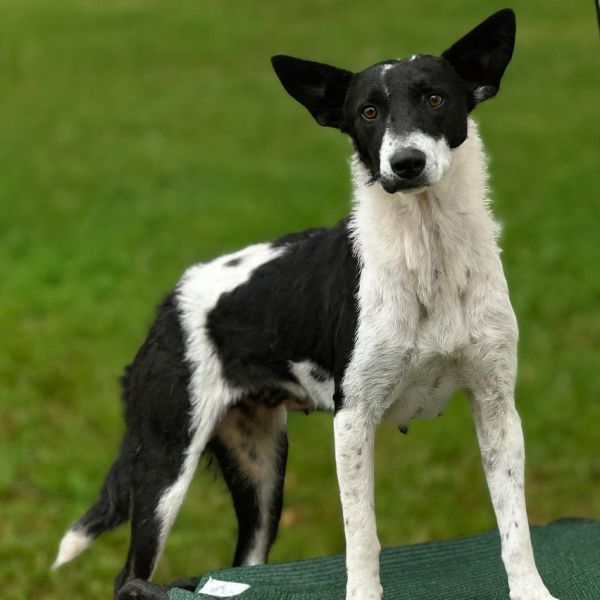 Nashville thumbnail 2