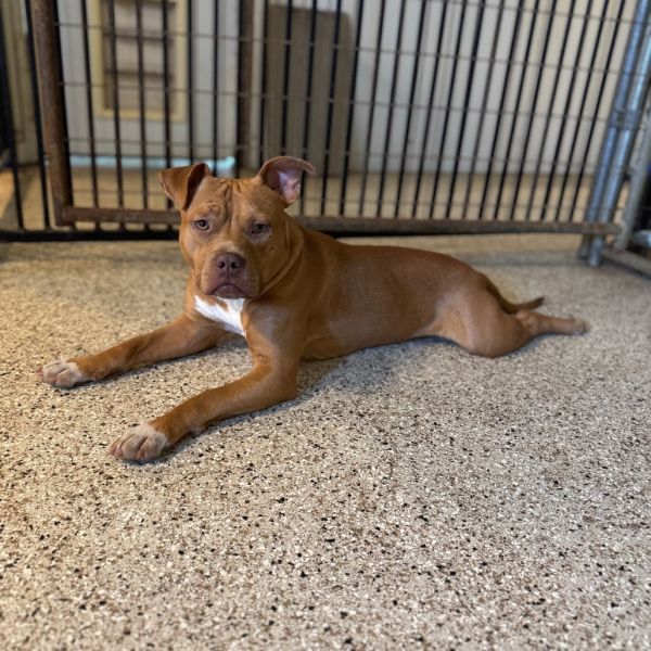 Jeremiah thumbnail 2