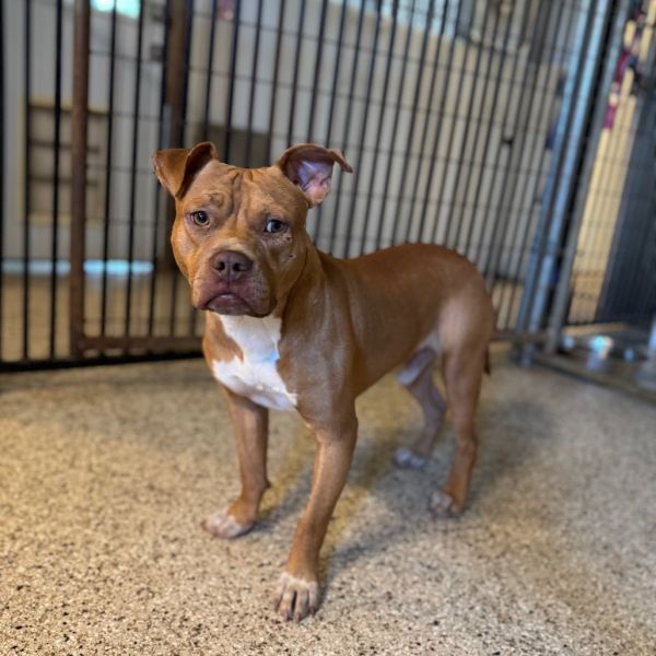 Jeremiah thumbnail 3