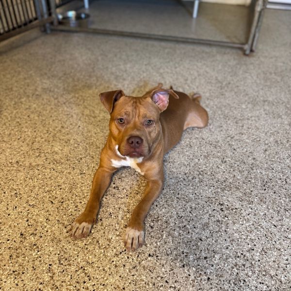 Jeremiah thumbnail 4