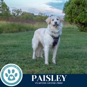 Paisley (mom to Paisley&#39;s Poppets) 041925