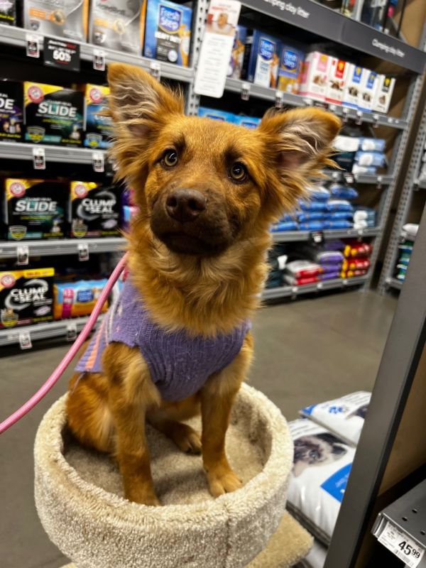 Konnichiwa thumbnail 3