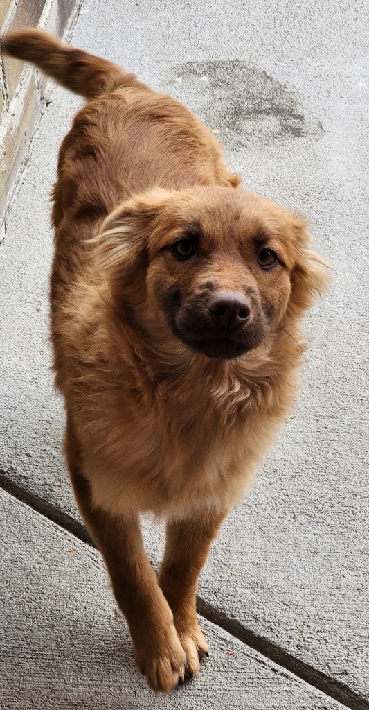 Konnichiwa thumbnail 6