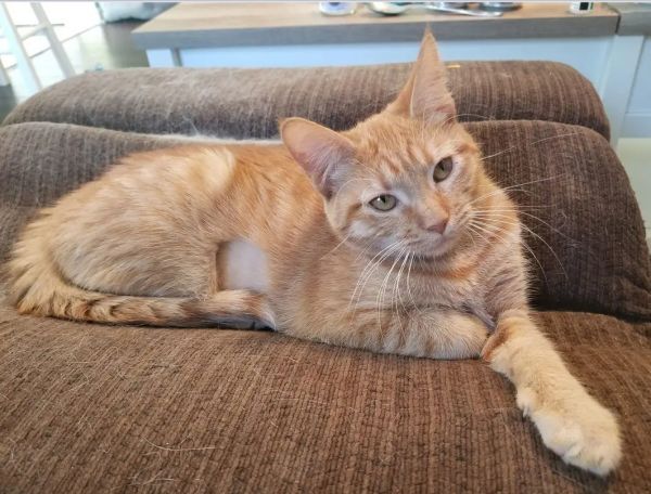 Esme Lou thumbnail 2