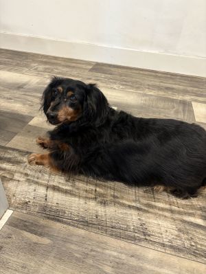 Tuukka-Bonded with Rocky