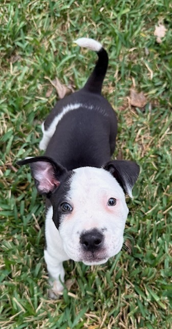 Caroline thumbnail 2