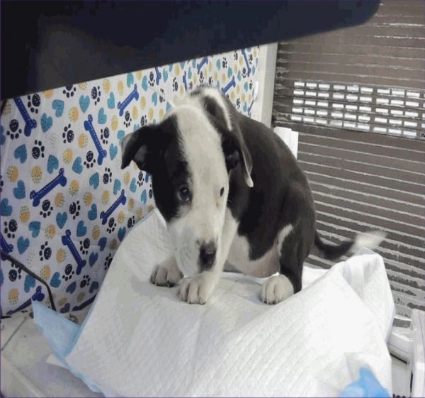 Caroline thumbnail 4