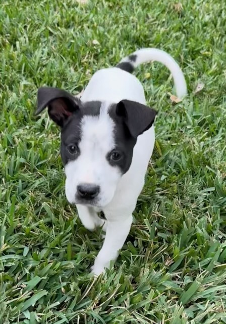 Charlotte thumbnail 2