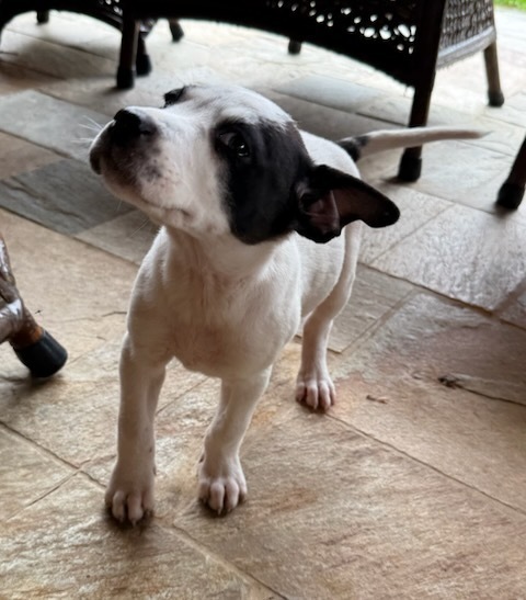 Charlotte thumbnail 3