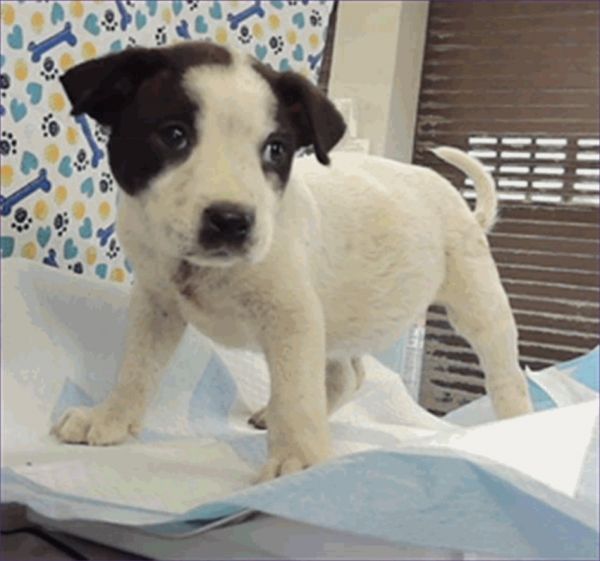 Charlotte thumbnail 4