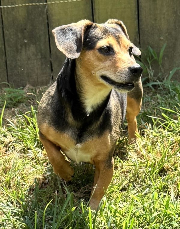 Midnight thumbnail 2