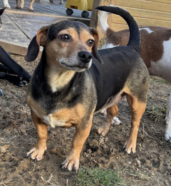 Midnight thumbnail 3