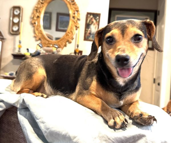 Midnight thumbnail 4