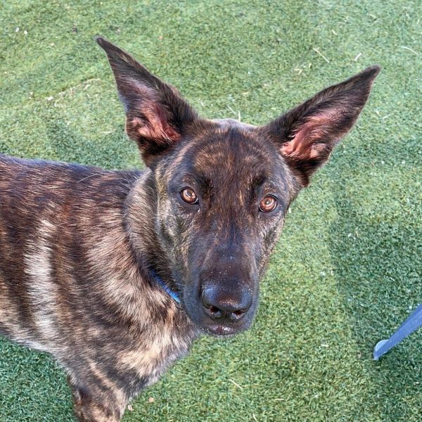 Waffles  Located In thumbnail 3