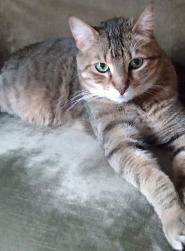 P.d. Aka Boo thumbnail 2