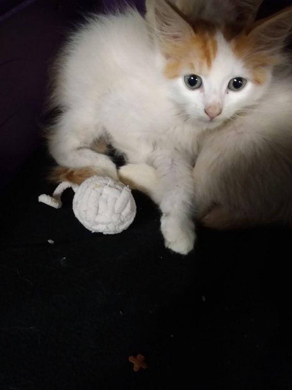 Byunghun thumbnail 2