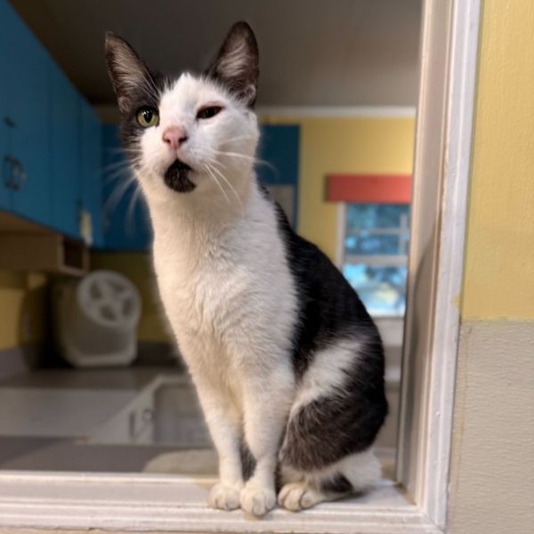 Hungry Hungry Hippo thumbnail 2