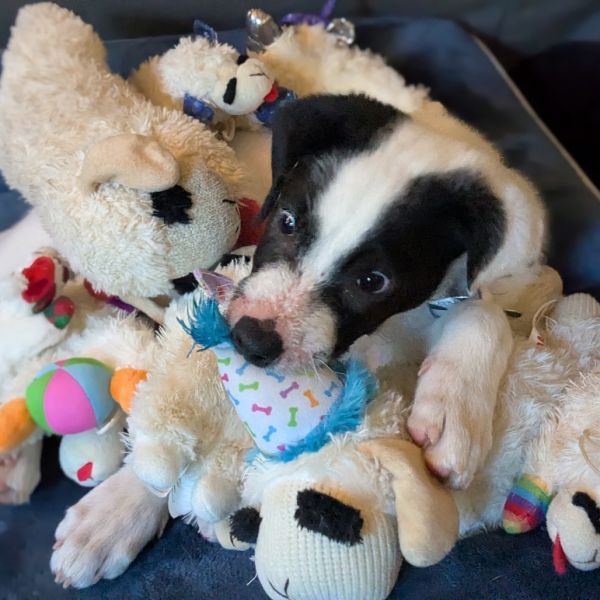 Ridgeway thumbnail 3