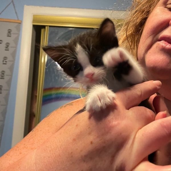 Cardamom thumbnail 2