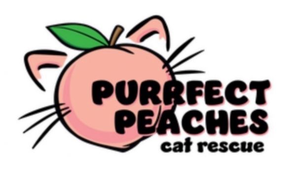 Blair Dewar thumbnail 2