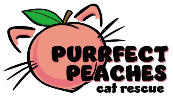 Biggie Dewar thumbnail 2