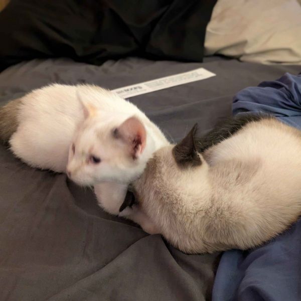 Sourdough thumbnail 2