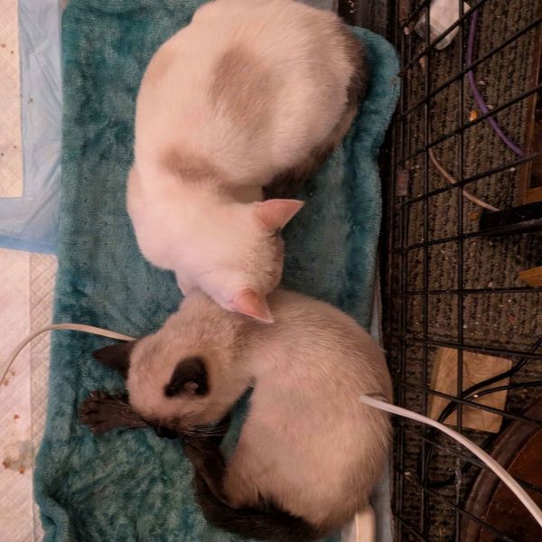 Sourdough thumbnail 3