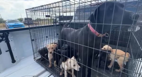 Tataryn  Sandra thumbnail 2