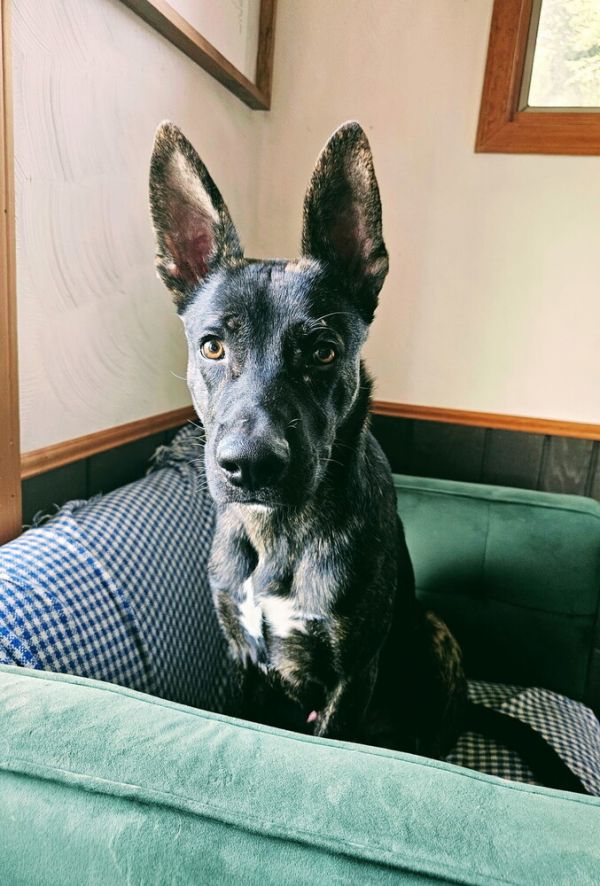 Kuma  Located In thumbnail 2