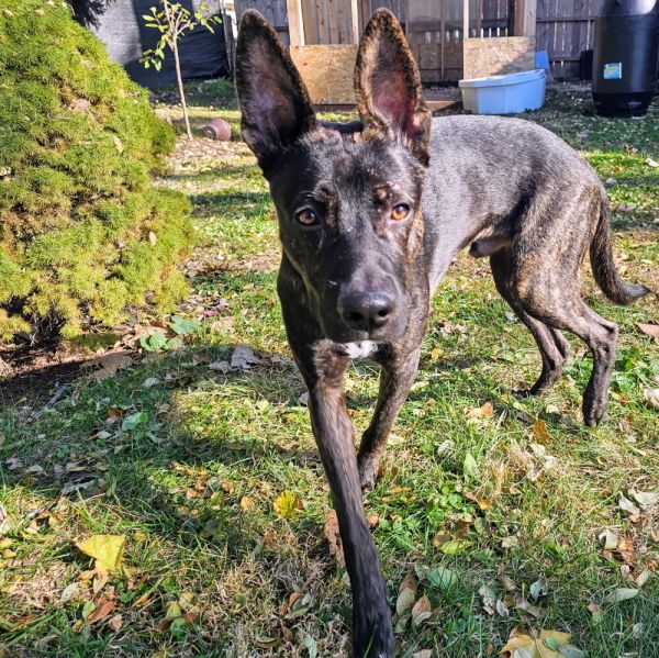 Kuma  Located In thumbnail 3