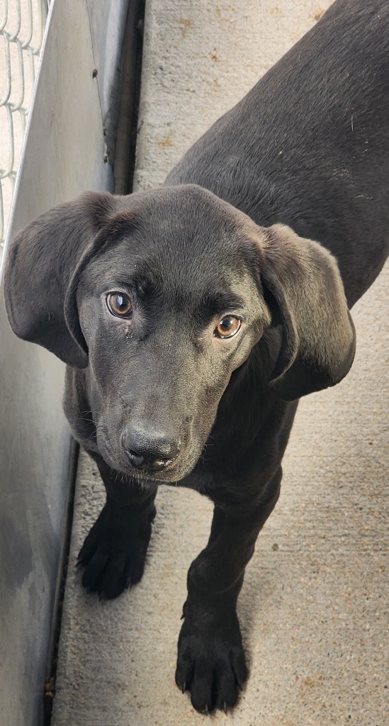 Irving Burns thumbnail 2