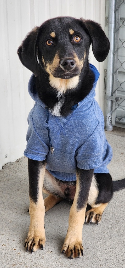 Badaxtra thumbnail 2