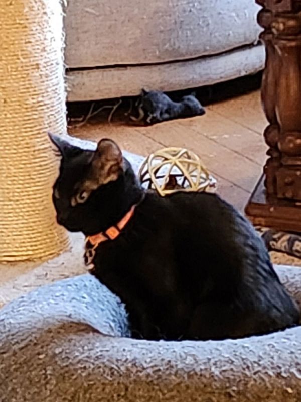 Dear Prudence thumbnail 2