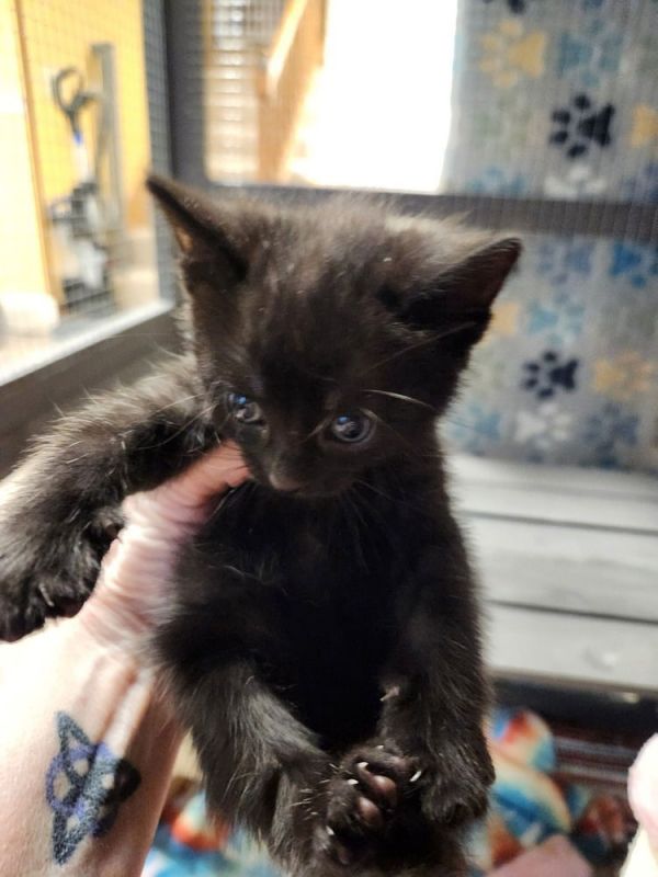 Dear Prudence thumbnail 3